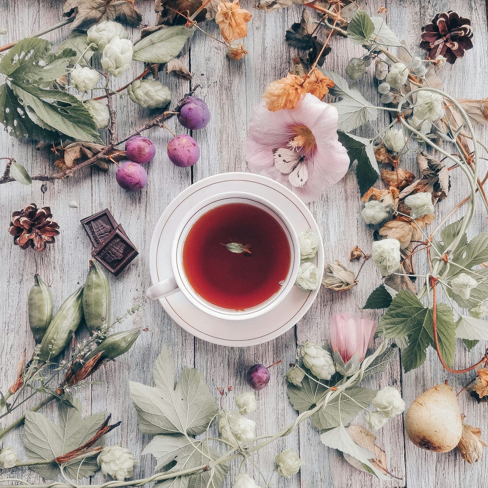 A cup of ruby-red tea on a saucer, surrounded by dried flowers and botanicals